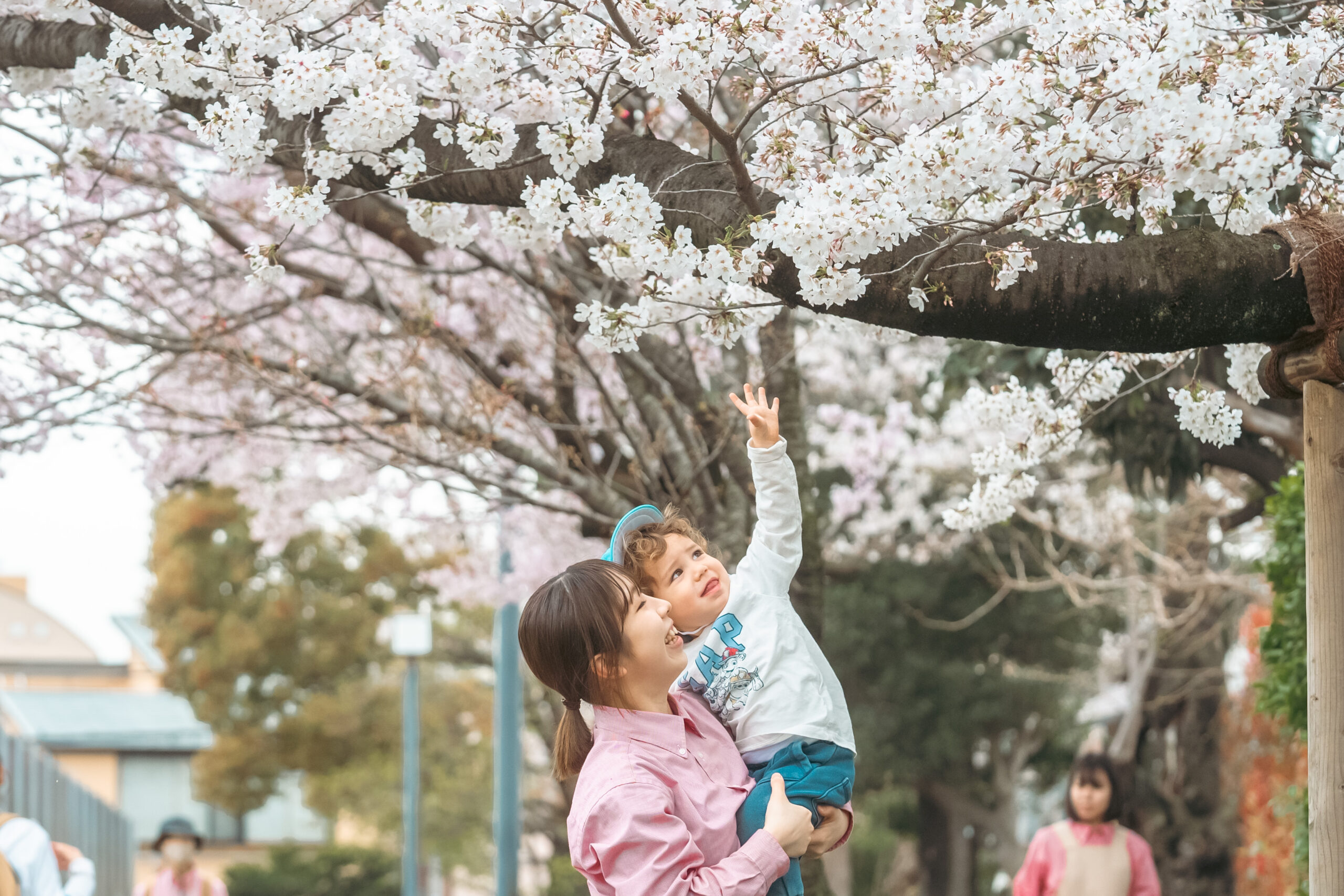 入園式/進級式